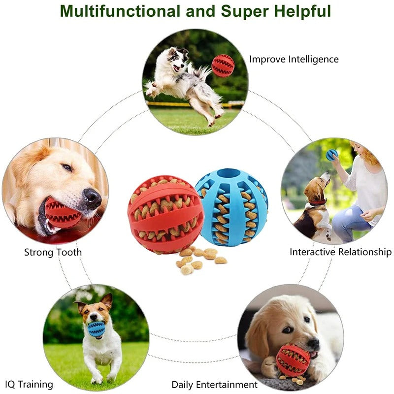 Dog Interactive Ball Toy