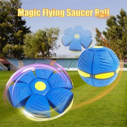 Dog Flying Disk Toy