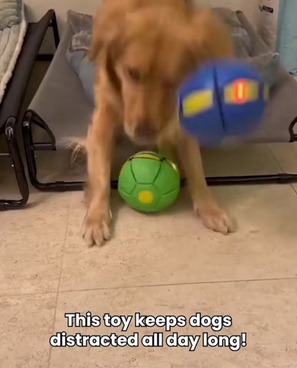 Dog Flying Disk Toy